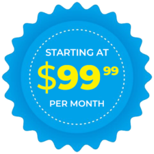 Cheap all inclusive website packages starting at 99.99 per month badger web solutions americas favorite web designers